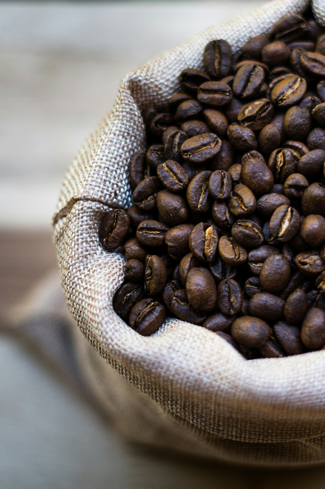 Freshly harvested green coffee beans in a burlap sack